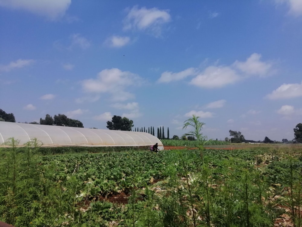 House for sale in Benoni AH - EN1560979 House for sale in Benoni AH - EN1560979