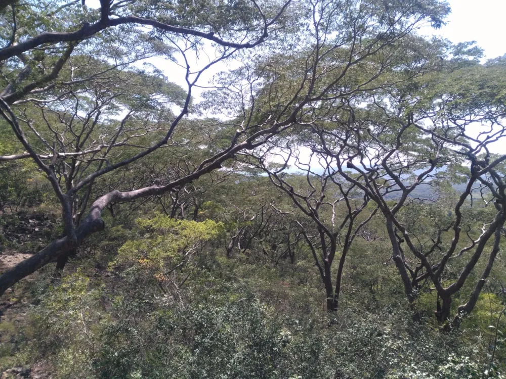 Vacant land for sale in Chirundu, Zambia - 3ZA1561168 Vacant land for sale in Chirundu, Zambia - 3ZA1561168