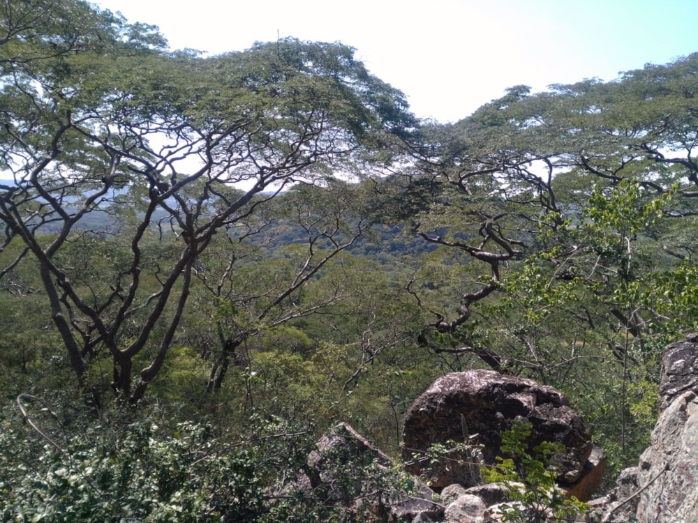 Vacant land for sale in Chirundu, Zambia - 3ZA1561168 Vacant land for sale in Chirundu, Zambia - 3ZA1561168