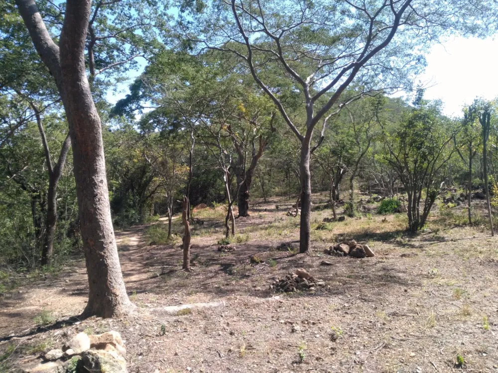 Vacant land for sale in Chirundu, Zambia - 3ZA1561168 Vacant land for sale in Chirundu, Zambia - 3ZA1561168