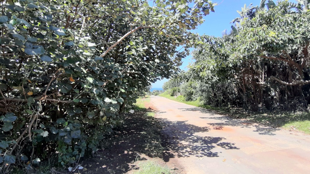 Vacant land for sale in Hibberdene - 1PX1562207