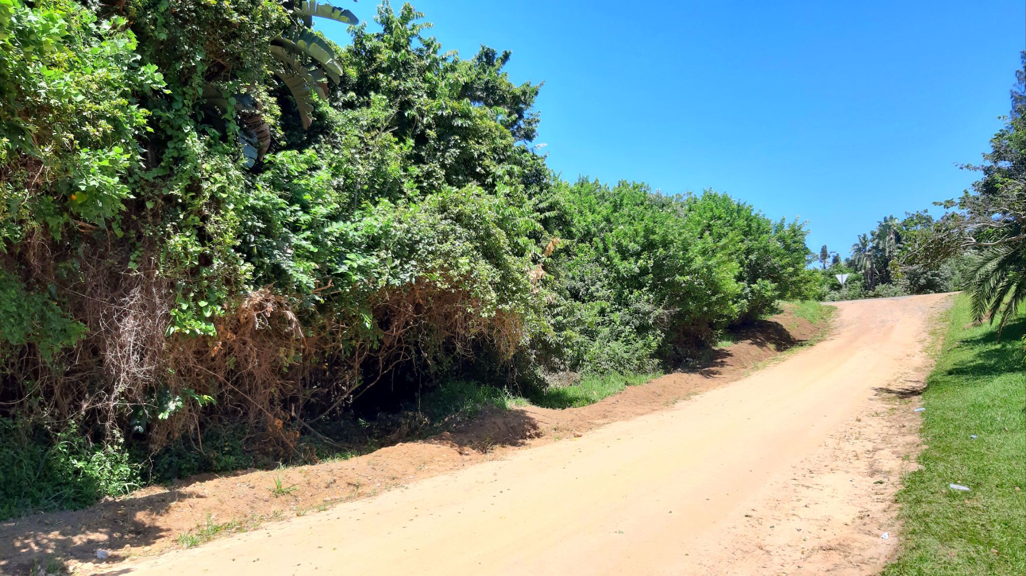 Vacant land for sale in Hibberdene - 1PX1562207