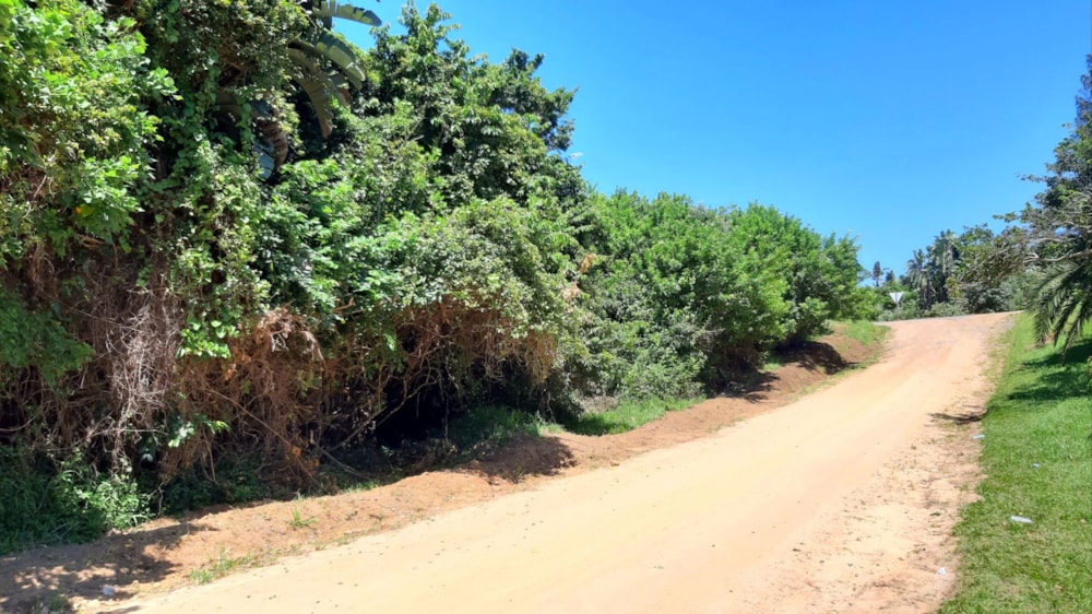 Vacant land for sale in Hibberdene - 1PX1562207