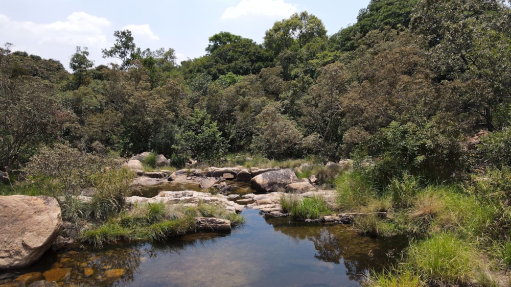 Mixed use farm sold in Rustenburg - 1RU1561365