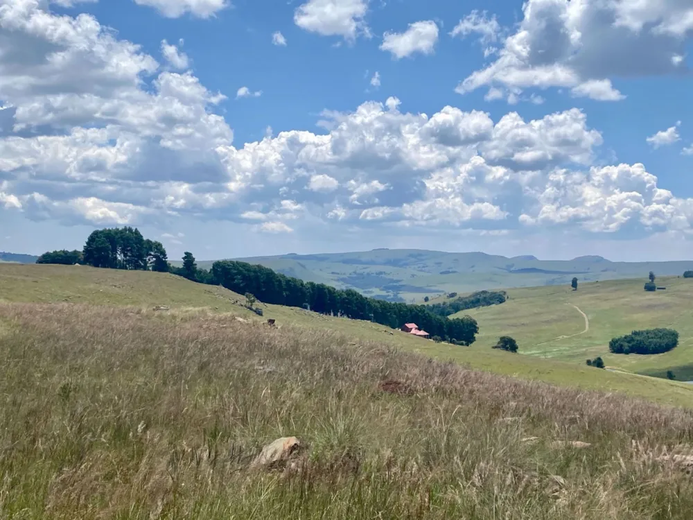 Vacant land for sale in Dullstroom - 1DS1562239