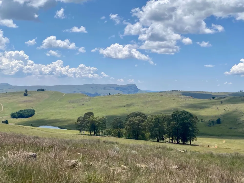 Vacant land for sale in Dullstroom - 1DS1562239