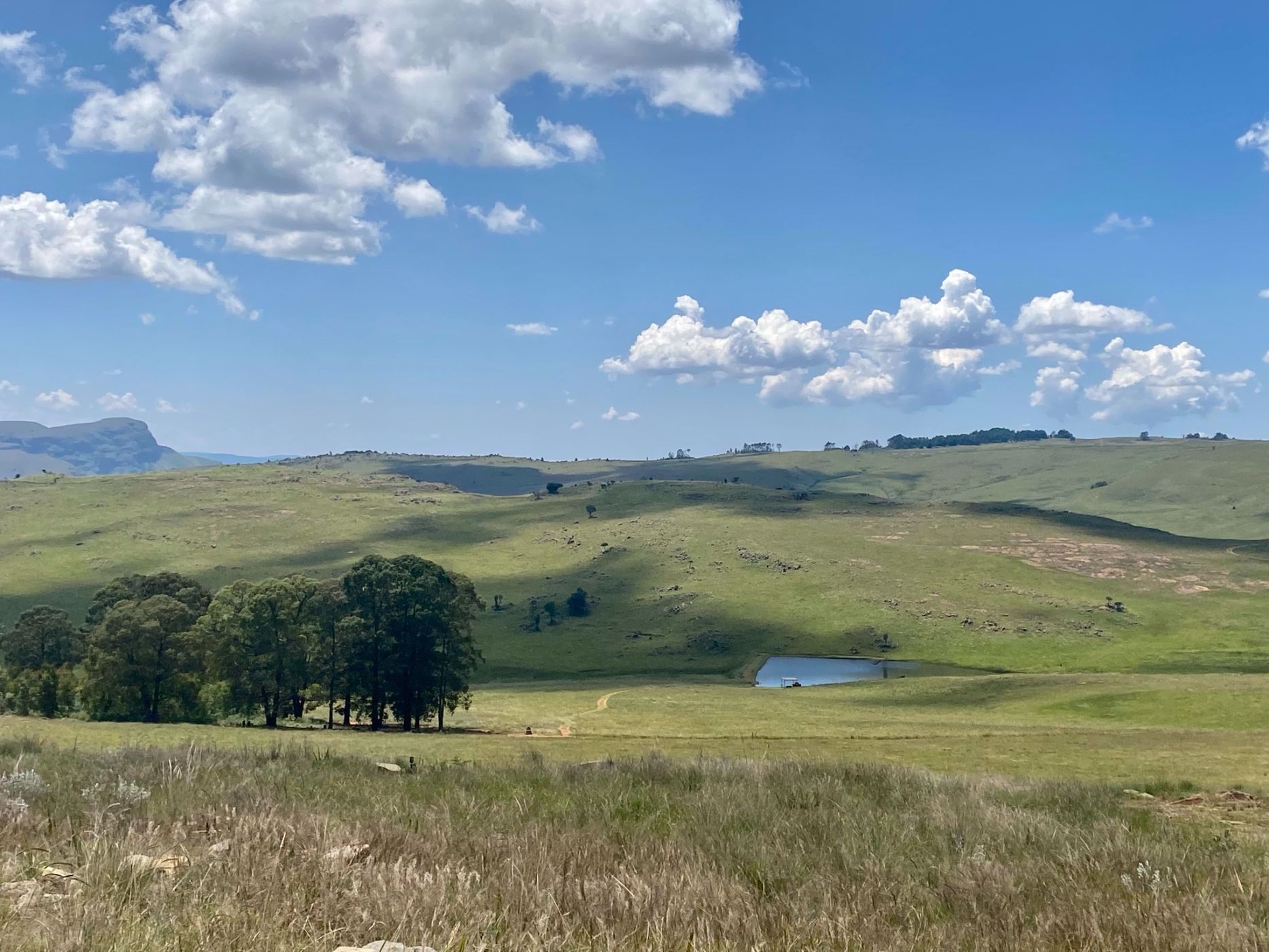 Vacant land for sale in Dullstroom - 1DS1562239