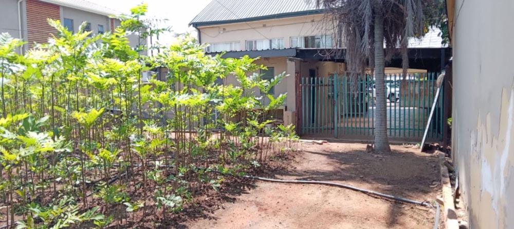 Commercial business for sale in Groblersdal - 1MD1561687 Commercial business for sale in Groblersdal - 1MD1561687