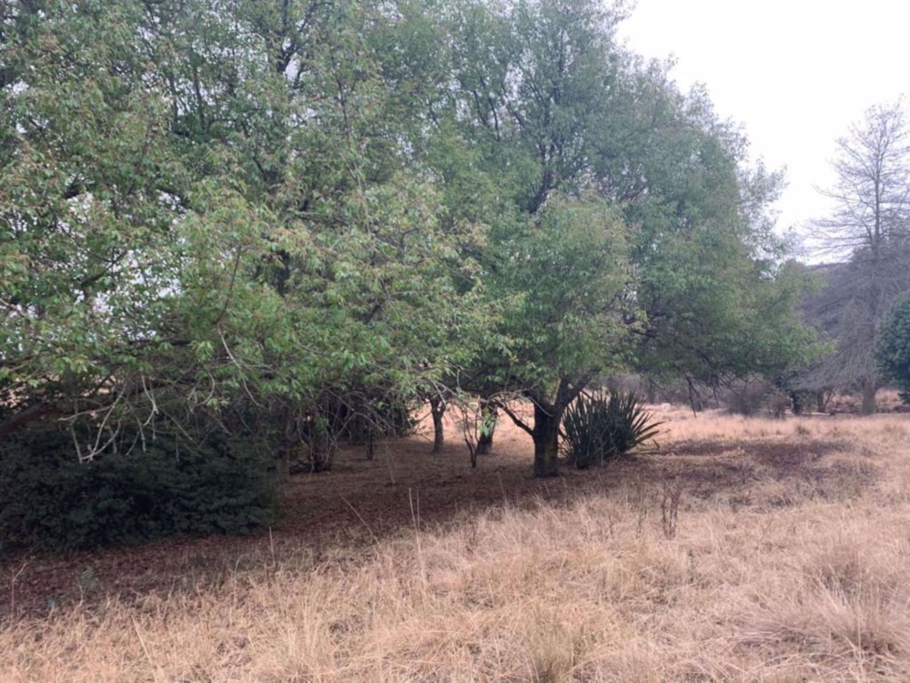 Residential vacant land for sale in Nottingham Road - 1PM1560809