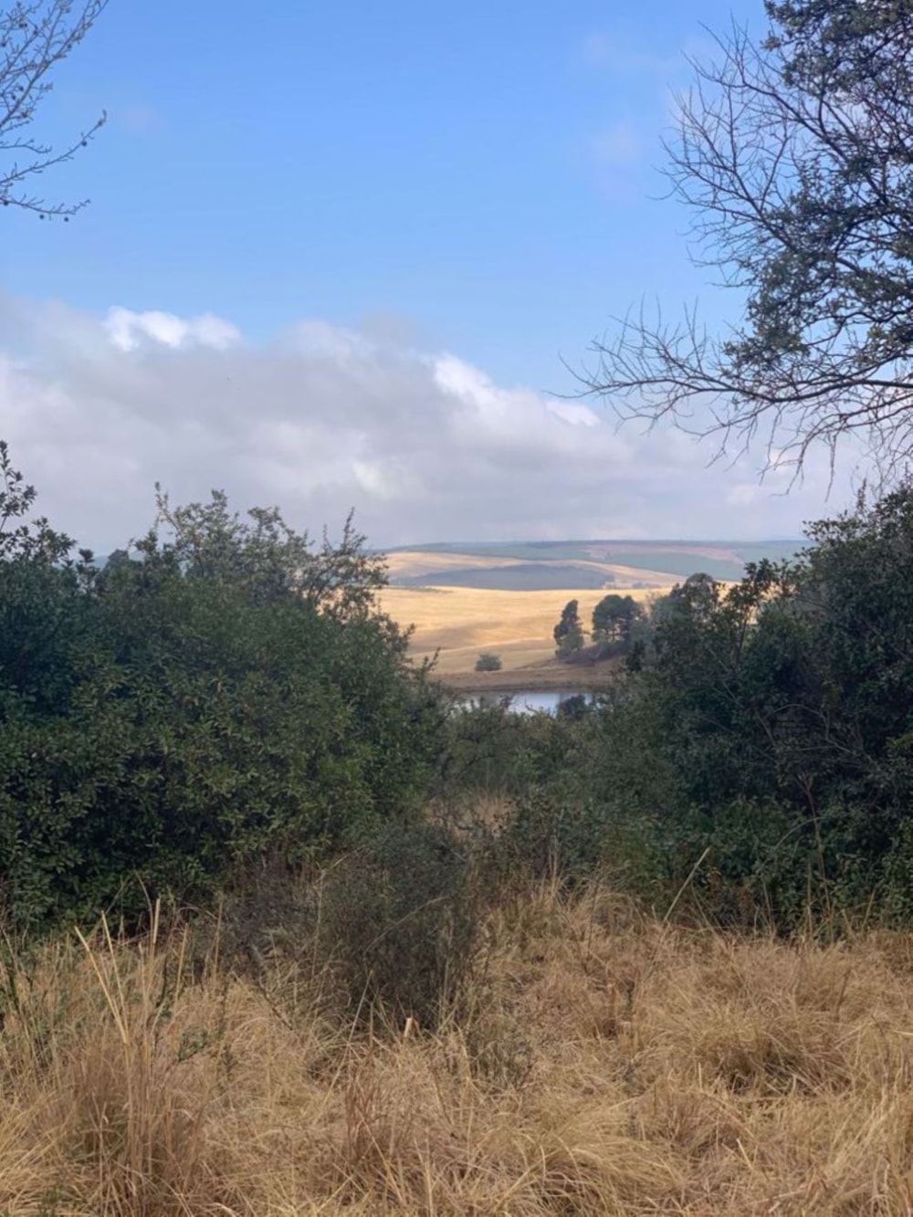 Residential vacant land for sale in Nottingham Road - 1PM1560809