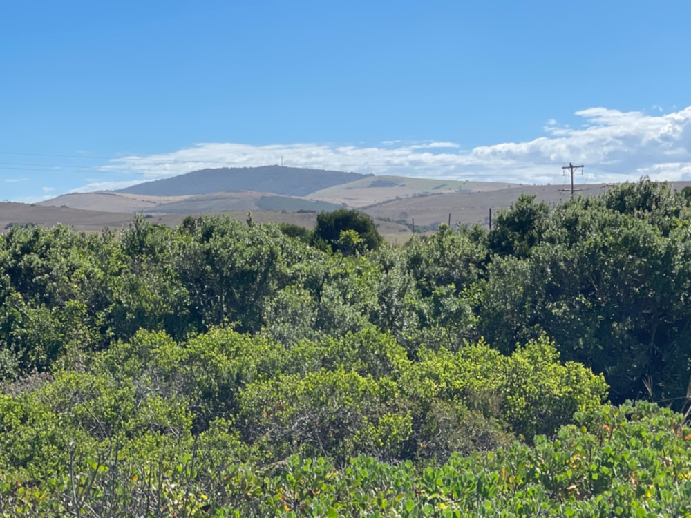 Vacant land for sale in Cannon Rocks - 1KO1741248