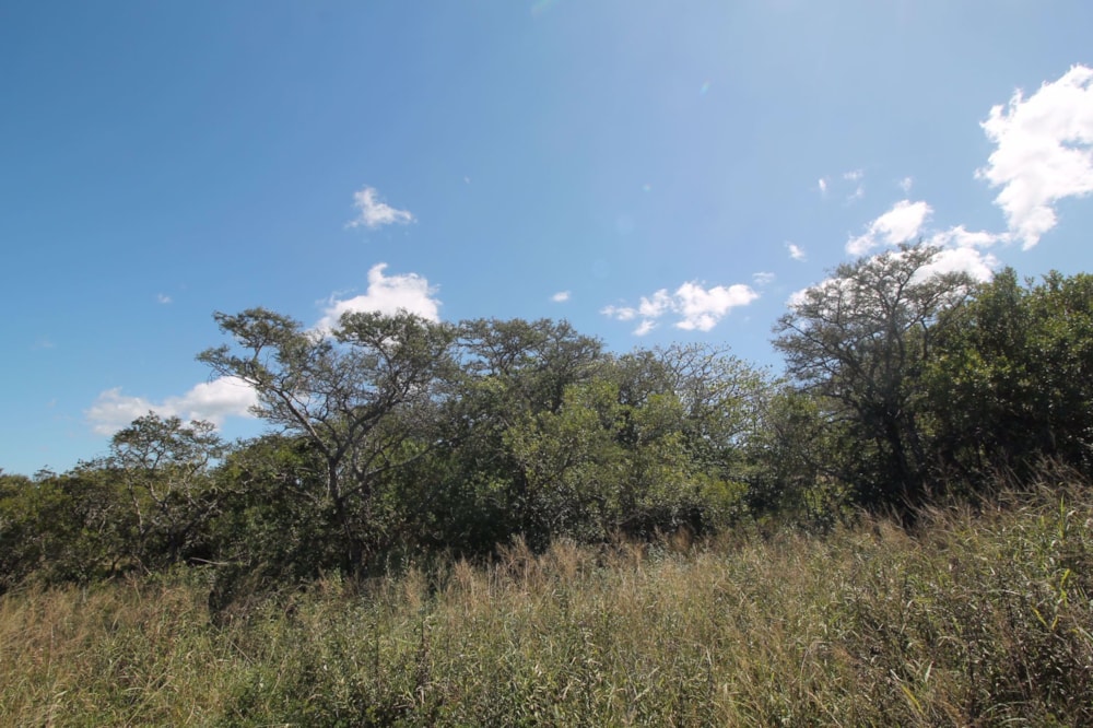 Vacant land for sale in Bathurst - 1PF1477499 Vacant land for sale in Bathurst - 1PF1477499