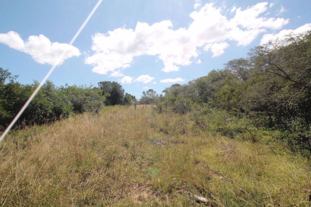 Vacant land for sale in Bathurst - 1PF1477499 Vacant land for sale in Bathurst - 1PF1477499