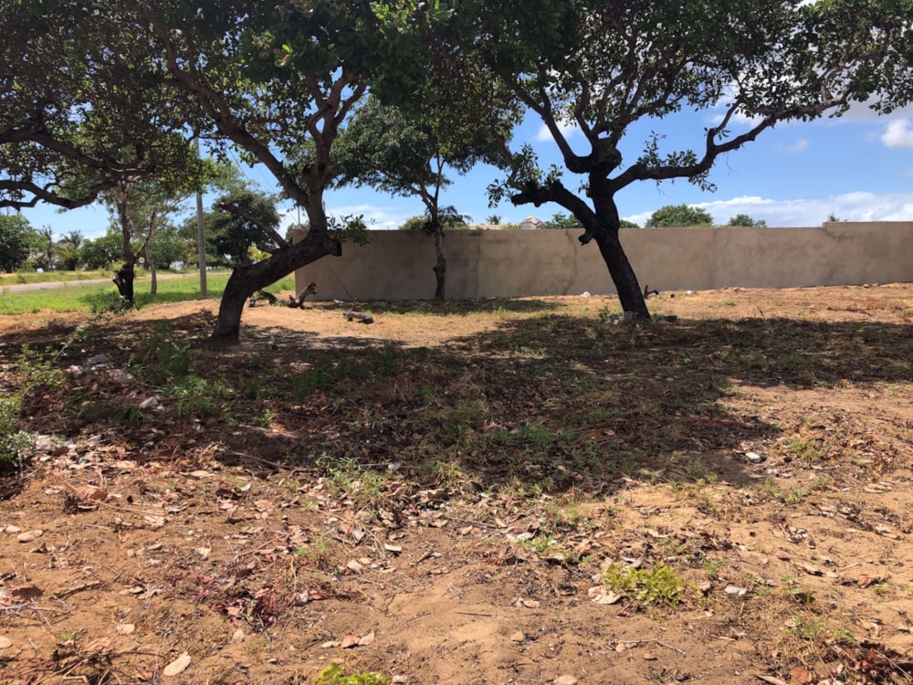 Bungalow for sale in Inhassoro, Mozambique - 3MQ1537336