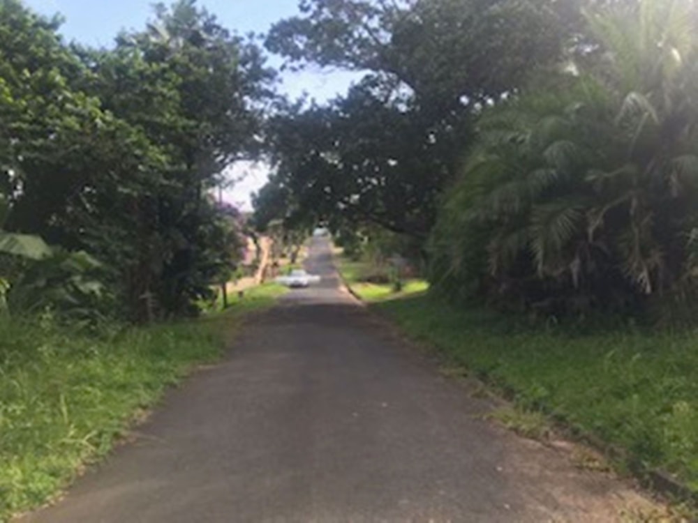 Residential vacant land for sale in Palm Beach - 1PD1563236 Residential vacant land for sale in Palm Beach - 1PD1563236