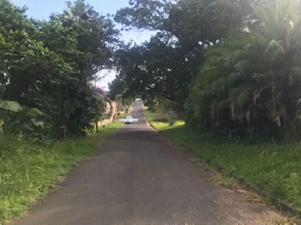 Residential vacant land for sale in Palm Beach - 1PD1563236 Residential vacant land for sale in Palm Beach - 1PD1563236