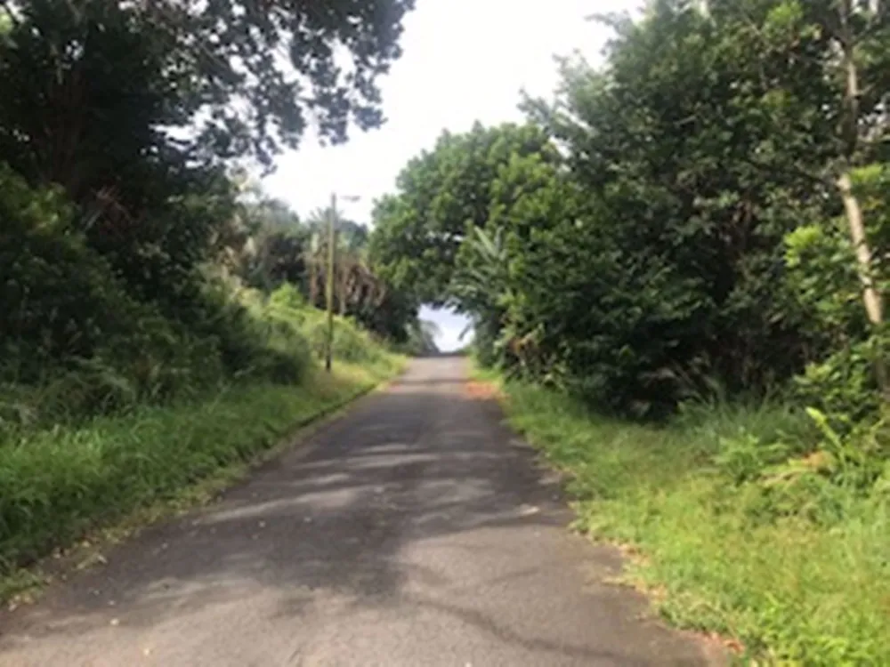 Residential vacant land for sale in Palm Beach - 1PD1563236 Residential vacant land for sale in Palm Beach - 1PD1563236
