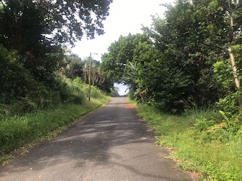 Residential vacant land for sale in Palm Beach - 1PD1563236 Residential vacant land for sale in Palm Beach - 1PD1563236