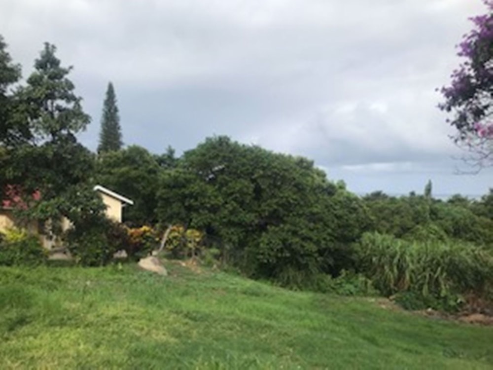 Residential vacant land for sale in Palm Beach - 1PD1563236 Residential vacant land for sale in Palm Beach - 1PD1563236