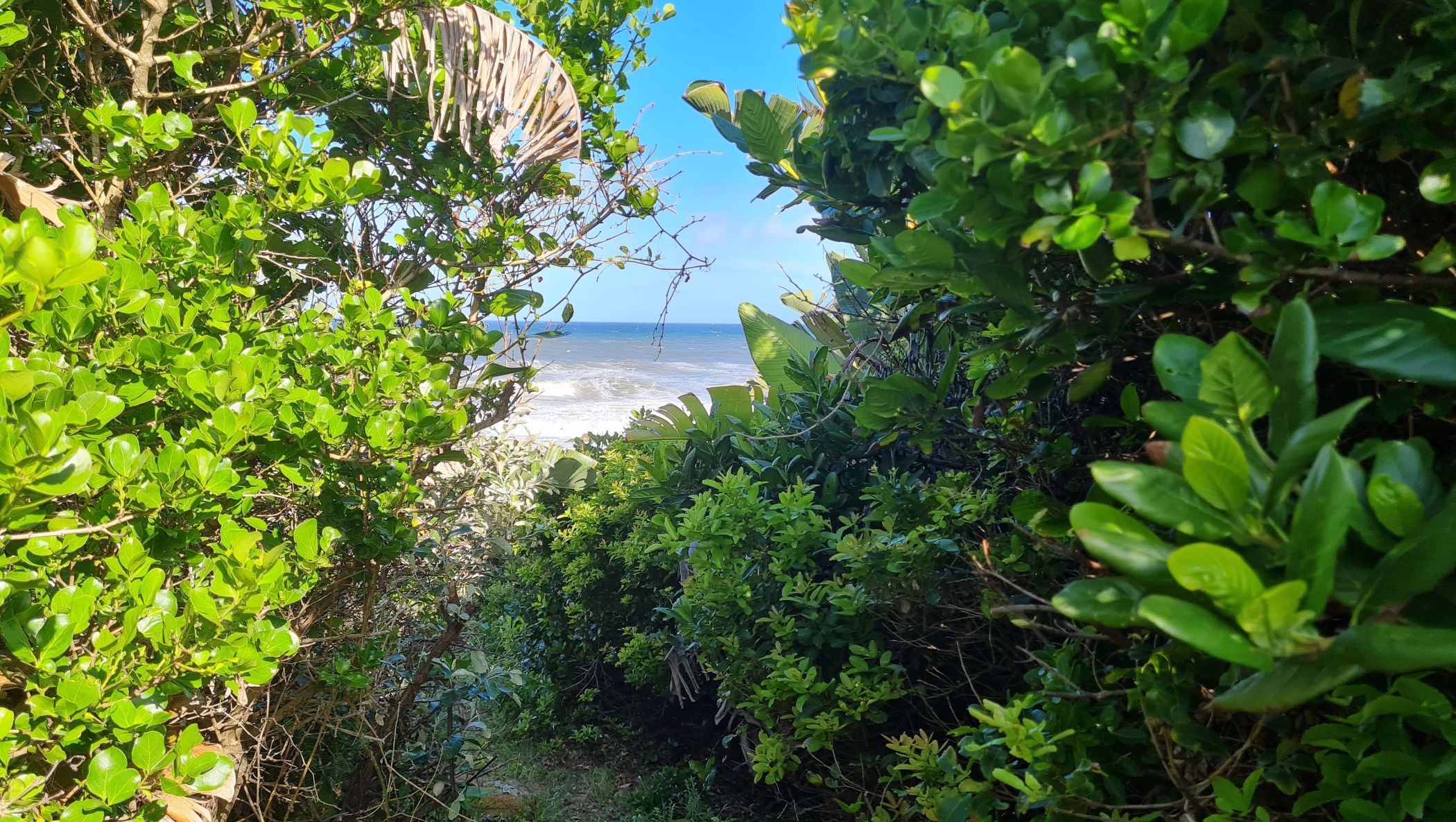 Beach bungalow for sale in Port Edward - 1PD1562869