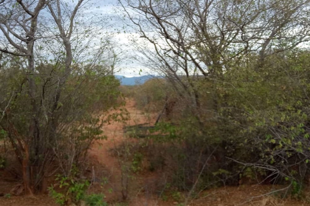 Vacant land for sale in Chibombo, Zambia - 3ZA1562958 Vacant land for sale in Chibombo, Zambia - 3ZA1562958