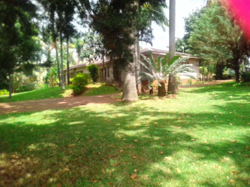 Commercial office for sale in Arbor Park, Tzaneen - 1TA1590833 Commercial office for sale in Arbor Park, Tzaneen - 1TA1590833