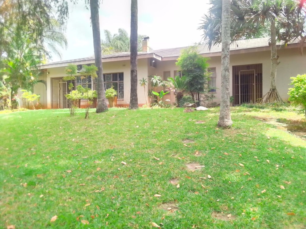 Commercial office for sale in Arbor Park, Tzaneen - 1TA1590833 Commercial office for sale in Arbor Park, Tzaneen - 1TA1590833