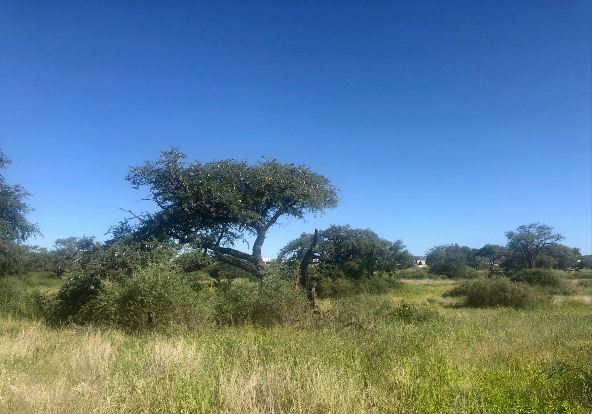 Residential vacant land for sale in Windhoek, Namibia - 3NM1563203