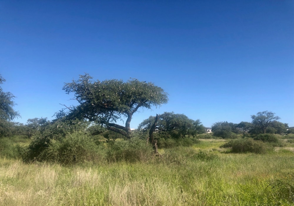 Residential vacant land for sale in Windhoek, Namibia - 3NM1563203