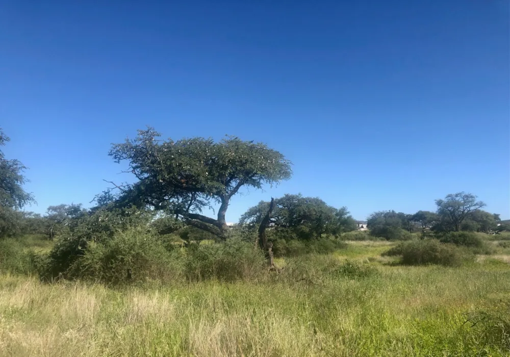 Residential vacant land for sale in Omeya Estate, Namibia - 3NM1563203 Residential vacant land for sale in Omeya Estate, Namibia - 3NM1563203
