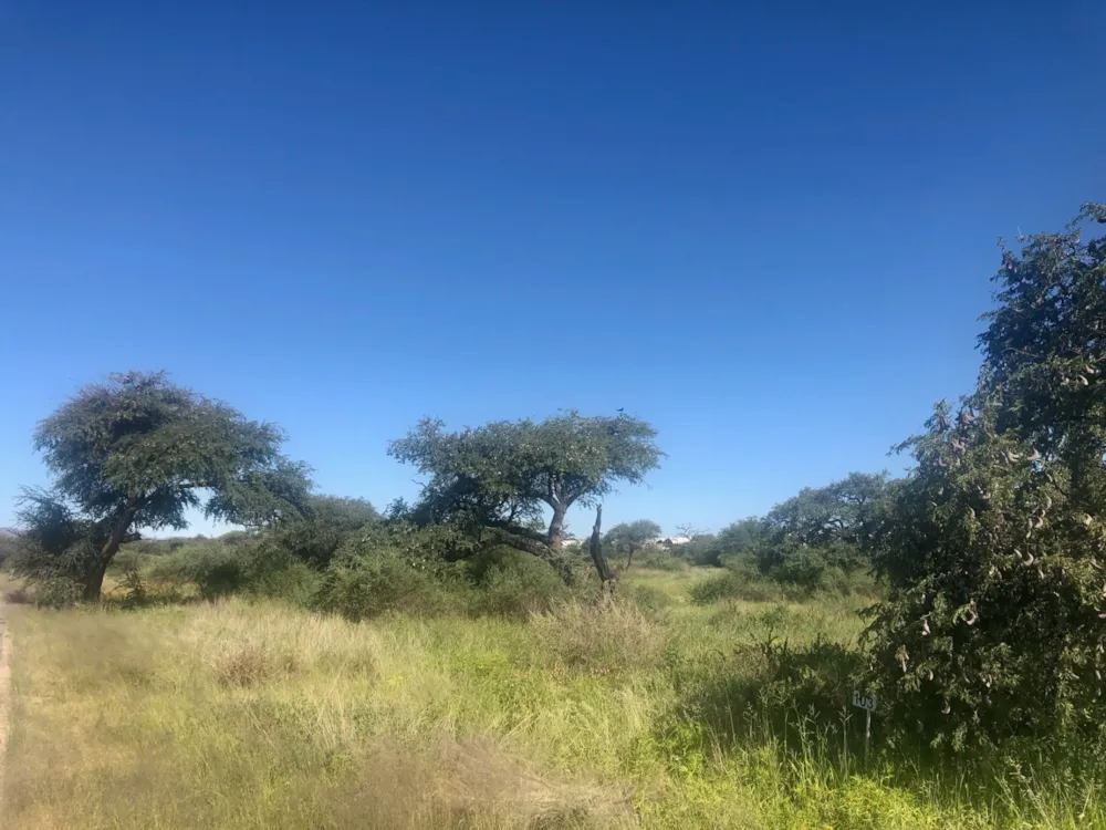 Residential vacant land for sale in Omeya Estate, Namibia - 3NM1563203 Residential vacant land for sale in Omeya Estate, Namibia - 3NM1563203