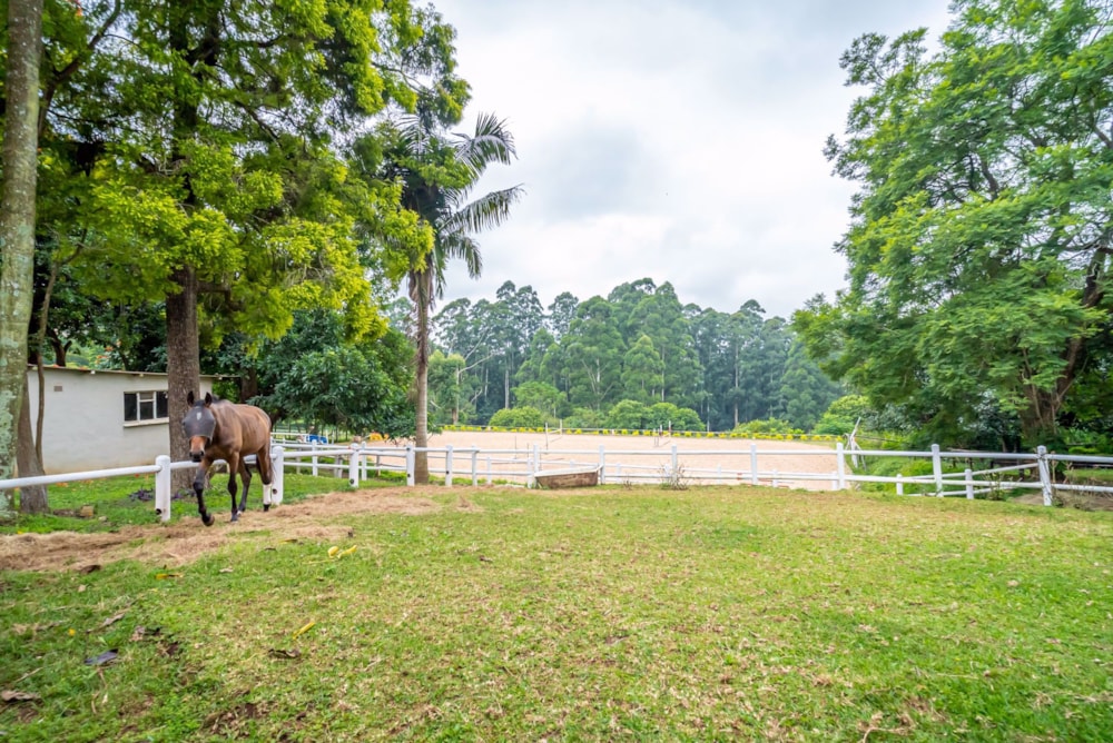 House for sale in Assagay - 1KF1726713