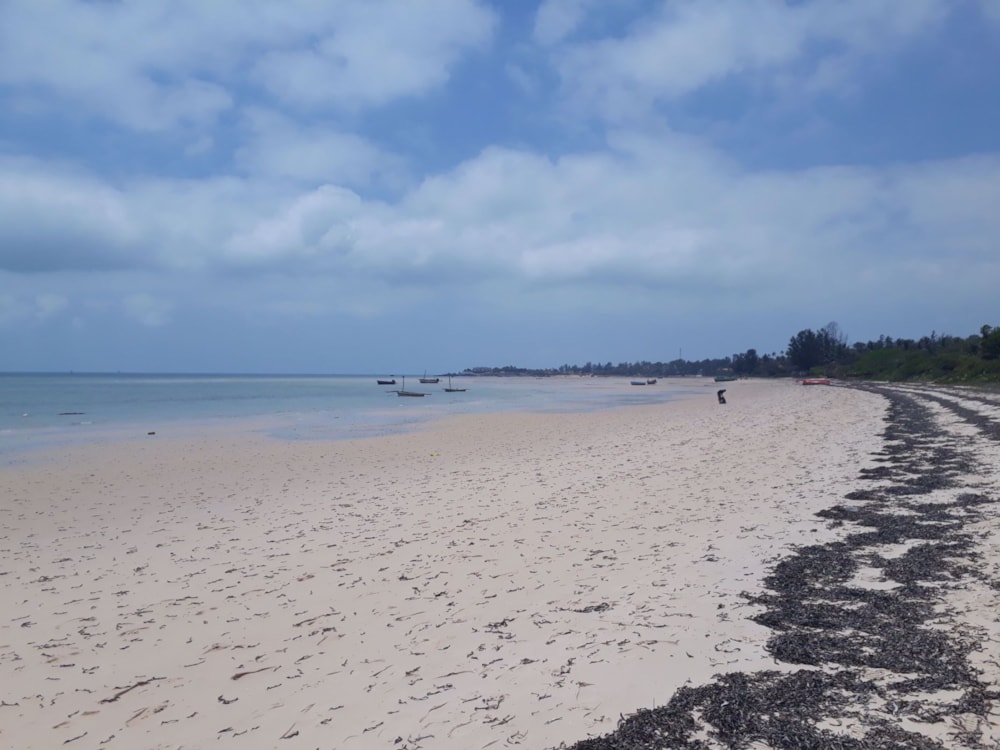 Vacant land for investment in Vilanculos, Mozambique - 3MQ1564334