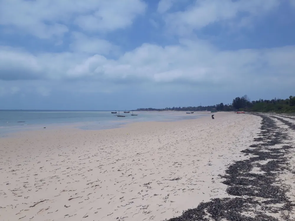 Vacant land for investment in Vilanculos, Mozambique - 3MQ1564334 Vacant land for investment in Vilanculos, Mozambique - 3MQ1564334