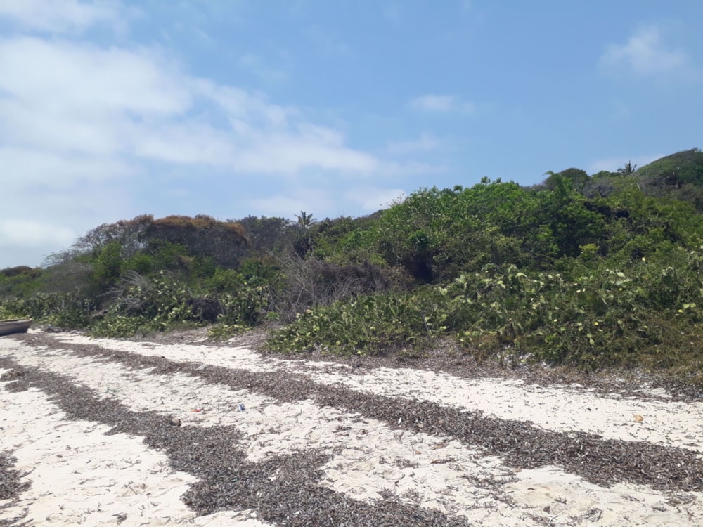 Vacant land for investment in Vilanculos, Mozambique - 3MQ1564334