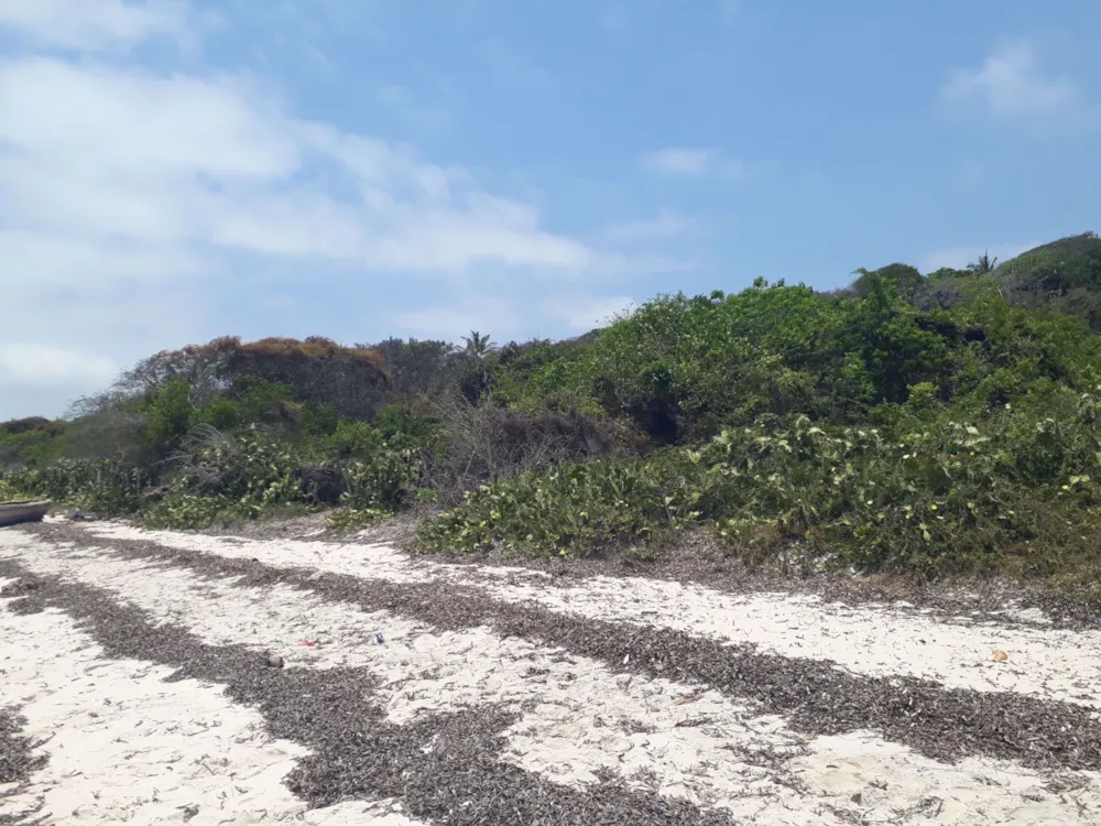 Vacant land for investment in Vilanculos, Mozambique - 3MQ1564334 Vacant land for investment in Vilanculos, Mozambique - 3MQ1564334