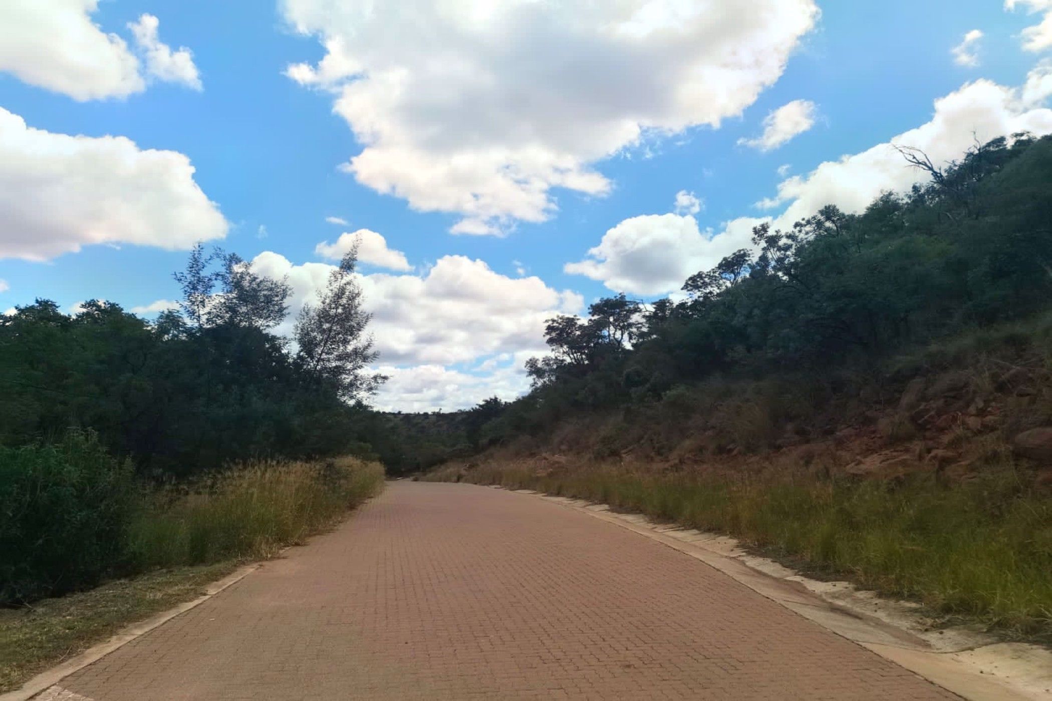 Vacant land for sale in Presidentsrus - 1WD1689310