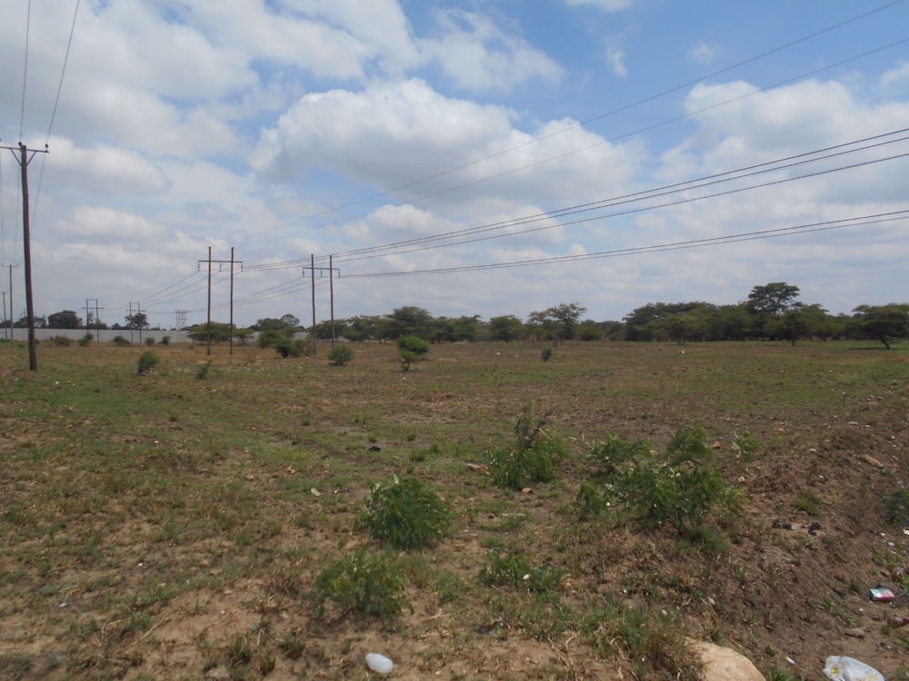 Commercial vacant land for sale in Choma, Zambia - 3ZA1564963 Commercial vacant land for sale in Choma, Zambia - 3ZA1564963