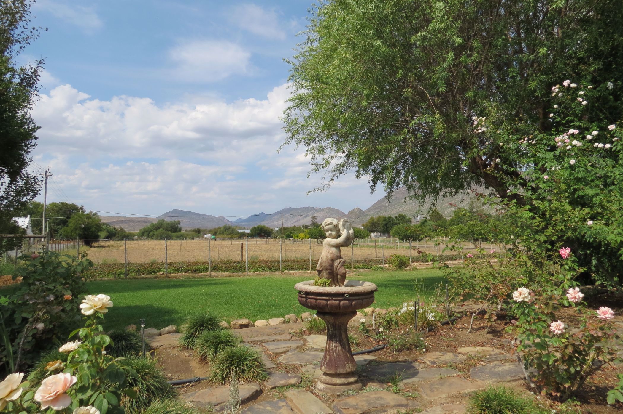 Lifestyle property for sale in Prince Albert - 1KK1677843