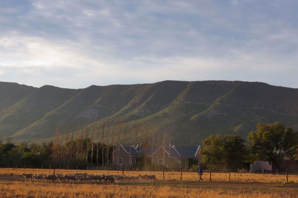 Lifestyle property for sale in Prince Albert - 1KK1677843