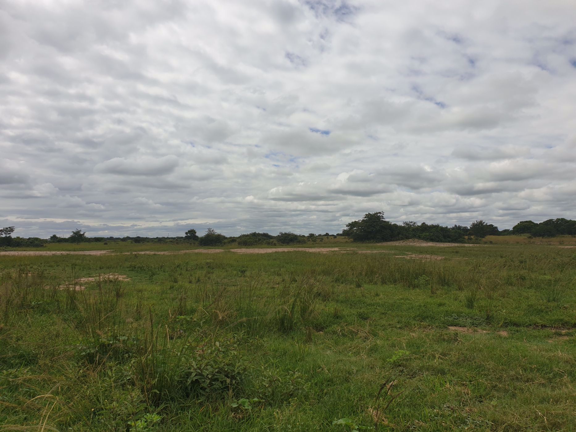 Farm vacant land for sale in Chikumbi, Zambia - 3ZA1565224