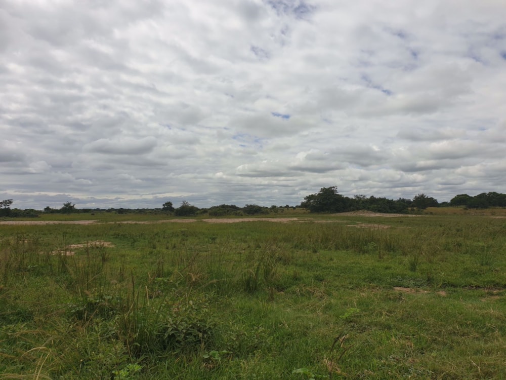 Farm vacant land for sale in Chikumbi, Zambia - 3ZA1565224