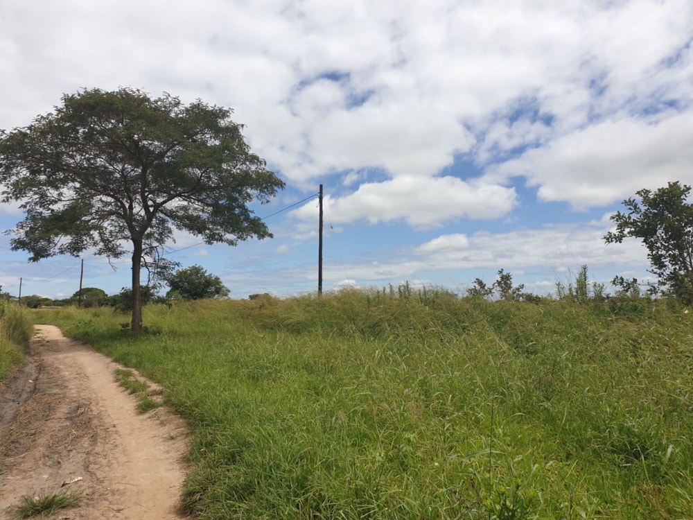 Farm vacant land for sale in Chikumbi, Zambia - 3ZA1565224