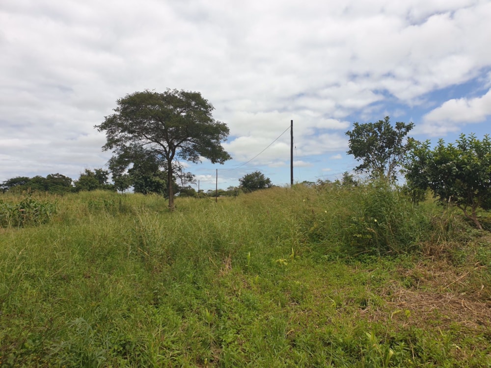 Farm vacant land for sale in Chikumbi, Zambia - 3ZA1565224