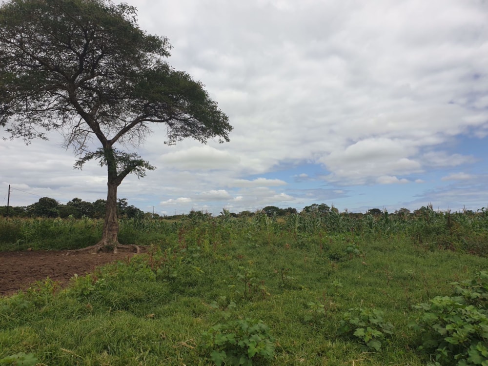Farm vacant land for sale in Chikumbi, Zambia - 3ZA1565224
