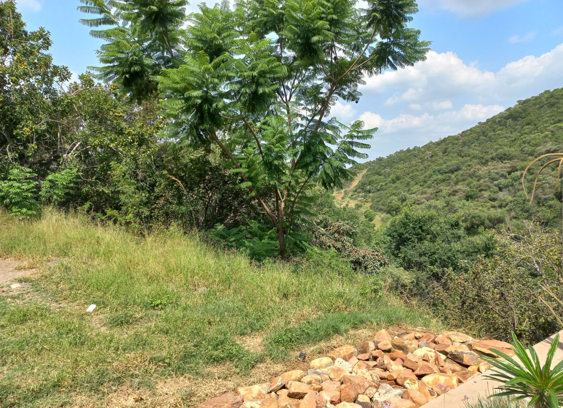 Vacant land for sale in Cashan - 1RU1565238