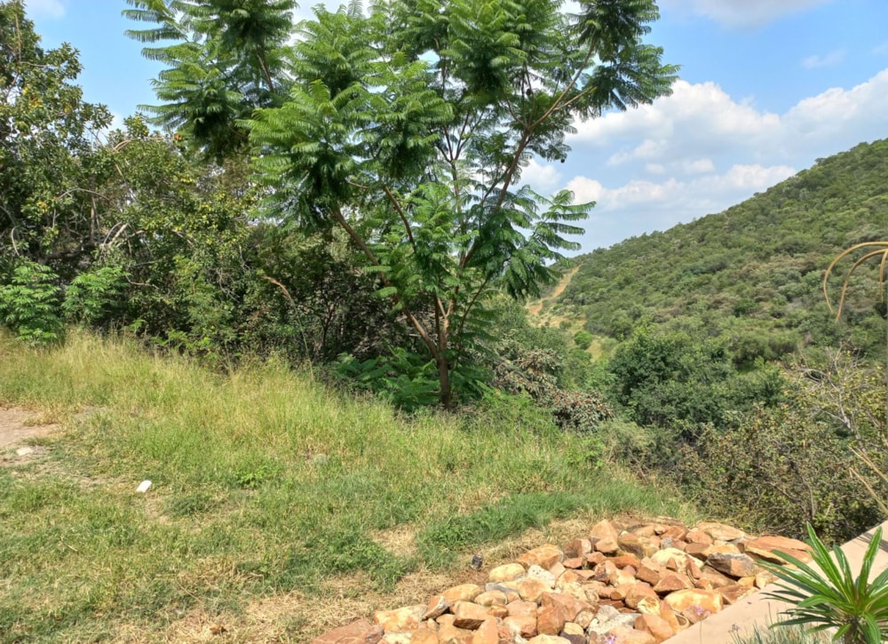 Vacant land for sale in Cashan - 1RU1565238