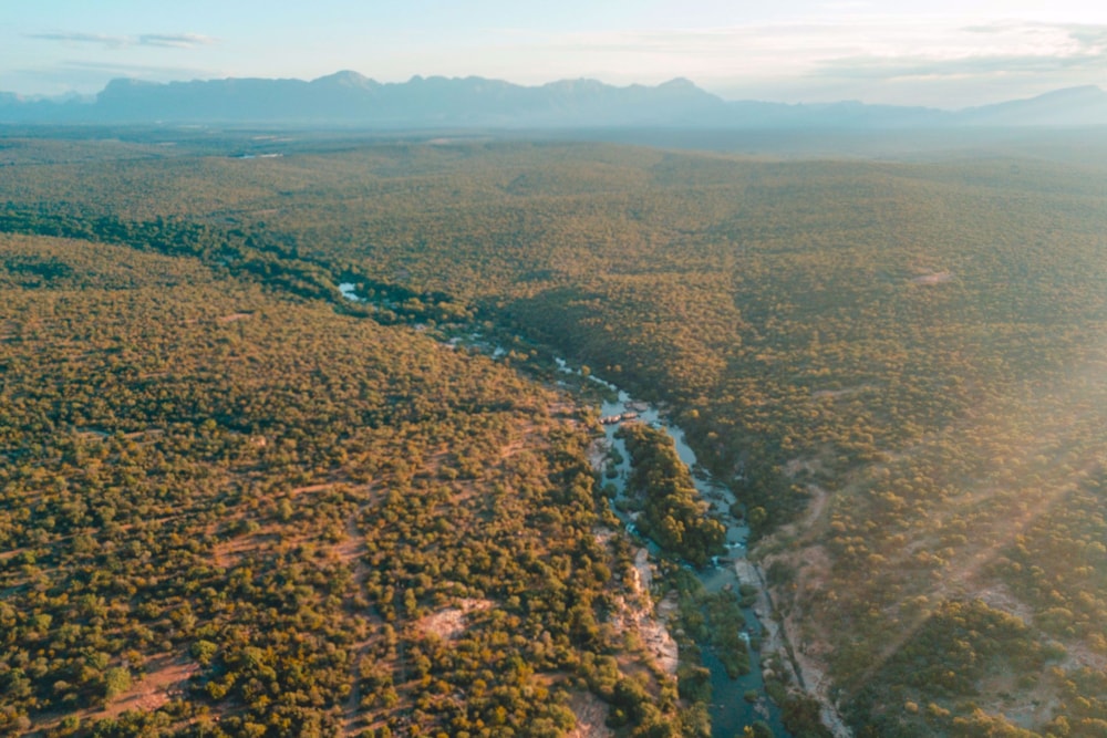 Vacant land sold in Wild Rivers Nature Reserve - 1HS1672297 Vacant land sold in Wild Rivers Nature Reserve - 1HS1672297