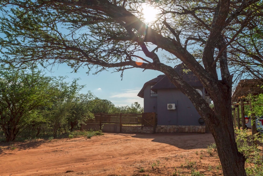 House let in Hoedspruit Wildlife Estate - 1HS1699288 House let in Hoedspruit Wildlife Estate - 1HS1699288