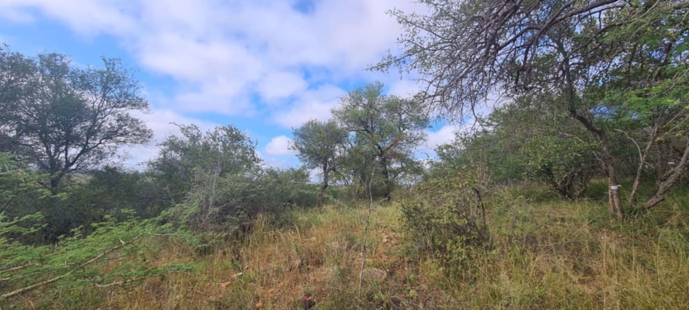 Vacant land for sale in Elephant Rock Eco Estate - 1HS1672610